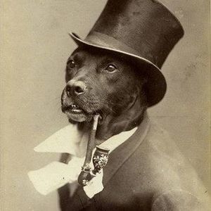 Meet your Posher, Steve